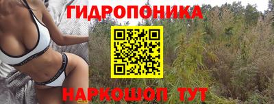 метамфетамин Сланцы