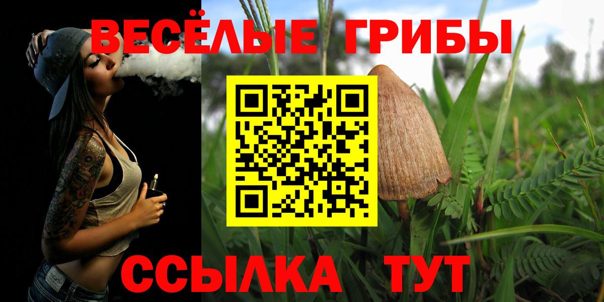 Галлюциногенные грибы Cubensis Нерюнгри