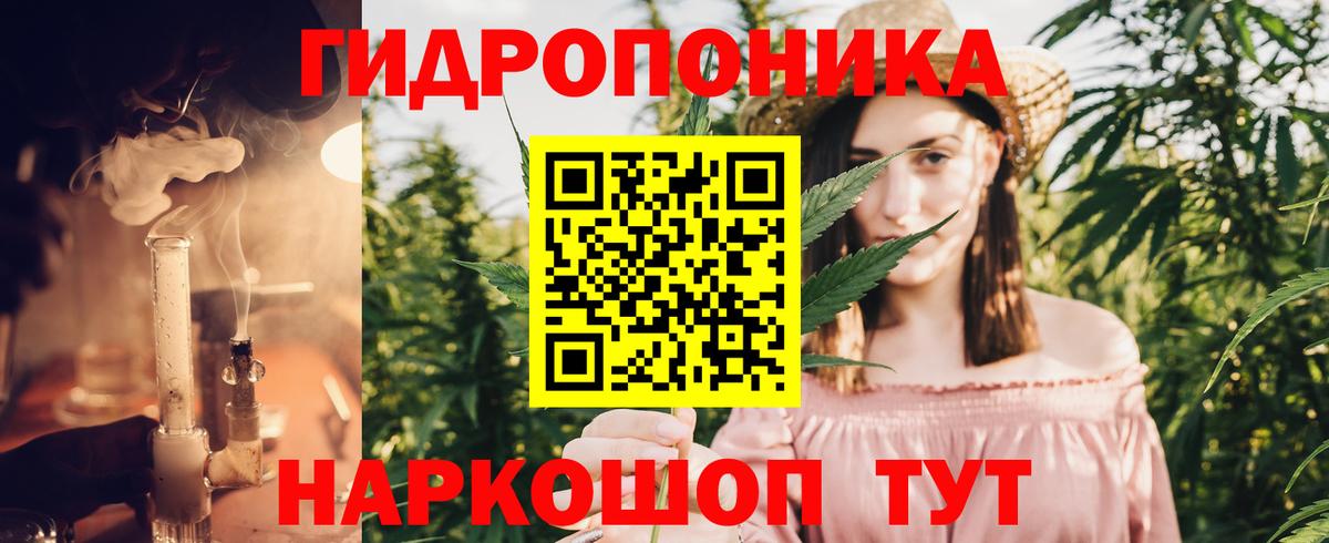 Каннабис OG Kush Нерюнгри